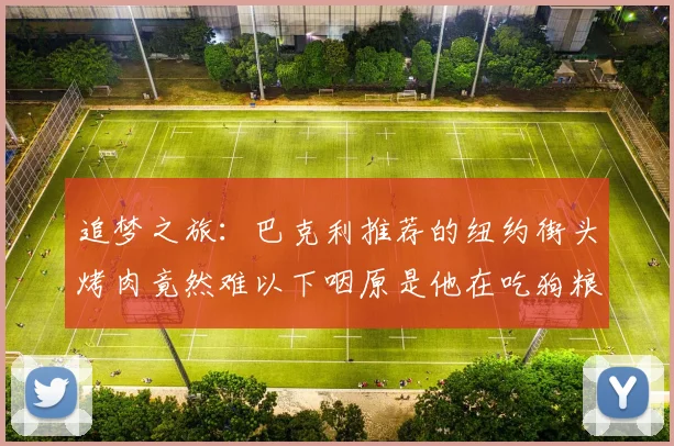 追梦之旅：巴克利推荐的纽约街头烤肉竟然难以下咽原是他在吃狗粮